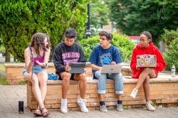 四个学生坐在阳光明媚的绿色四方庭中低矮的砖墙上. 一个女孩拿着她的手机，对着它做手势，而其他三个, 使用笔记本电脑, 看看她在给他们看什么.